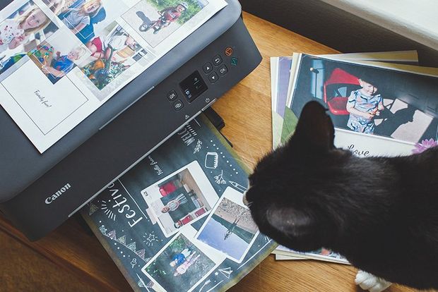 A cat looks at a Canon PIXMA TS5340 printer that is surrounded by printouts.