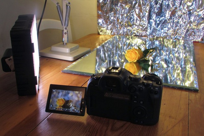 سطح طاولة مع مرآة محاطة بورق القصدير وصندوق إضاءة على جانب واحد وكاميرا EOS R6 من Canon جاهزة لالتقاط صور وردة صفراء.