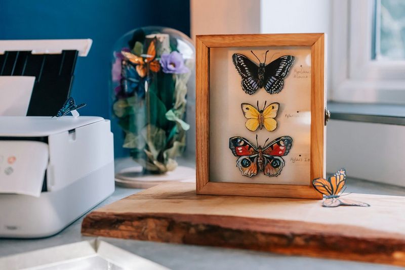 Мала дрвена рамка во којашто се врамени три шарени 3D-пеперутки од хартија е поставена на дрвена сталажа веднаш до печатач PIXMA од Canon.