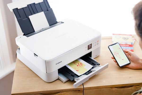 A woman holding a printed photo of a flamingo graphic next to a Canon printer. 