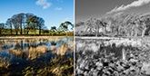 A before and after image of a marshy landscape, unedited on the left and in black and white on the right.