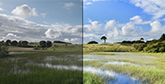 A before and after shot of a field of long grass, dark and unedited on the left, showing the lighter version on the left, edited in DPP.