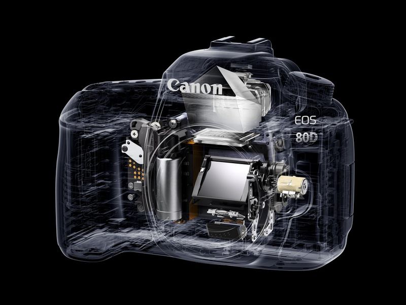 A cutaway illustration of a Canon EOS 80D camera showing the mirror mechanism.