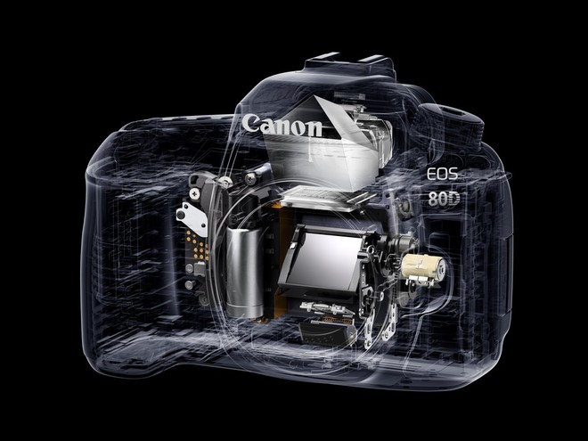 رسم توضيحي لكاميرا EOS 80D من Canon يوضح آلية المرآة.
