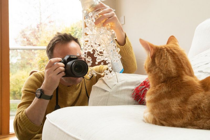 Uomo che fotografa un gatto rosso tigrato tra le luci natalizie.