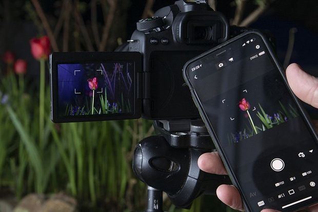 A Canon EOS 90D connected to a smartphone with the Canon Camera Connect app.