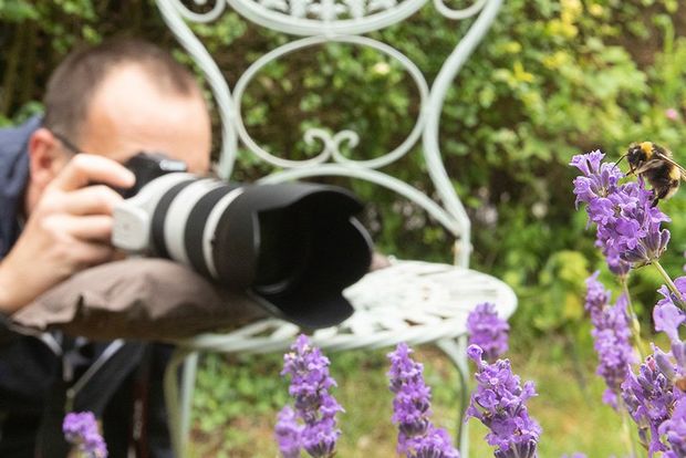 A photographer resting his lens on a beanbag on a garden chair, shooting purple flowers.