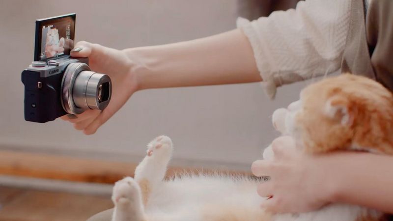 Filming a cat with the Canon PowerShot G7 X Mark III.