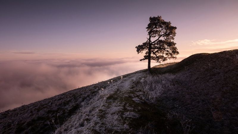 Chasing Light and Shadows: A Landscape Photographer's Diary