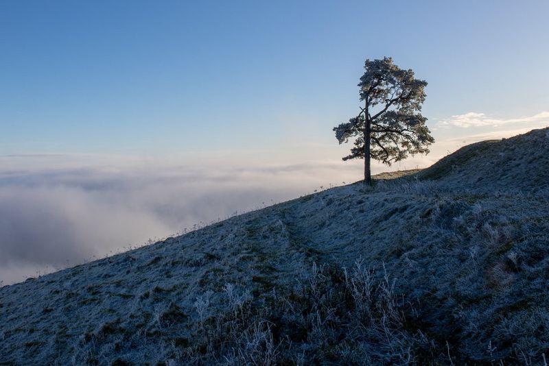 This Landscape Photography Trick is the Best Way to Photograph