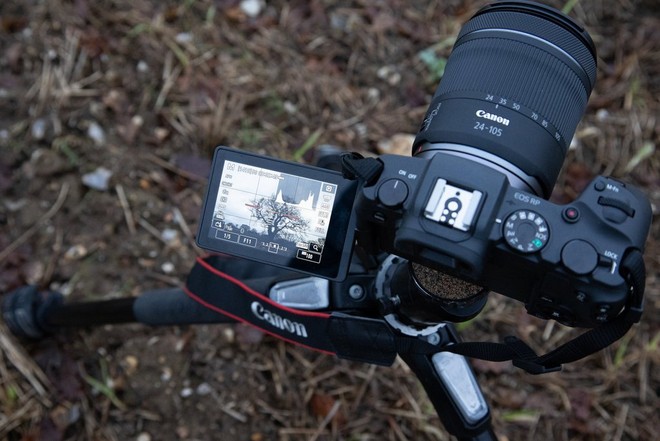 صورة التُقطت بكاميرا EOS RP من Canon مثبتة على حامل ثلاثي القوائم توضح خطوط الشبكة والمستوى الإلكتروني على الشاشة القابلة للإمالة.