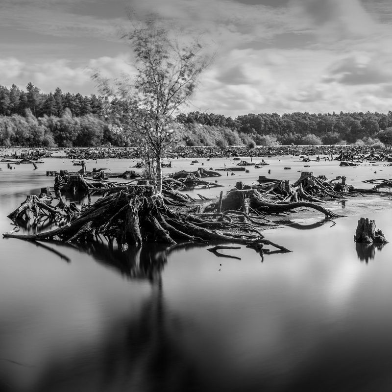 Exposition longue en noir et blanc avec Stephen McNally Canon