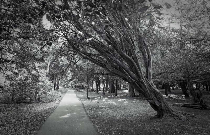 Techniques de photographie en noir et blanc Inspirez vous