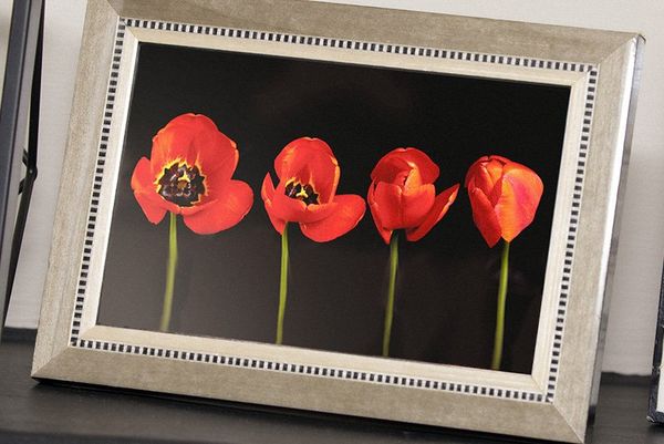 A time stack of tulips shown in a frame on a mantelpiece.