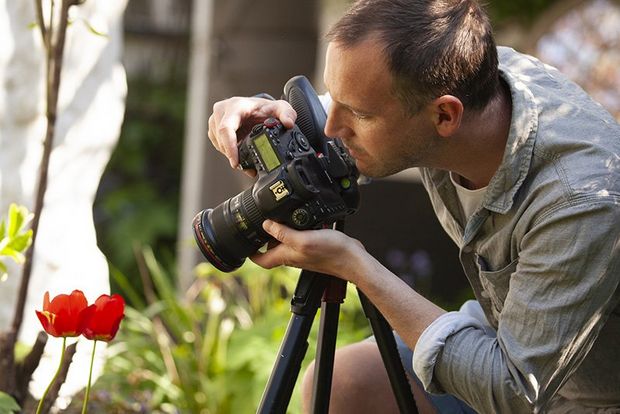 A photographer frames up his subject: a tulip growing in his garden.