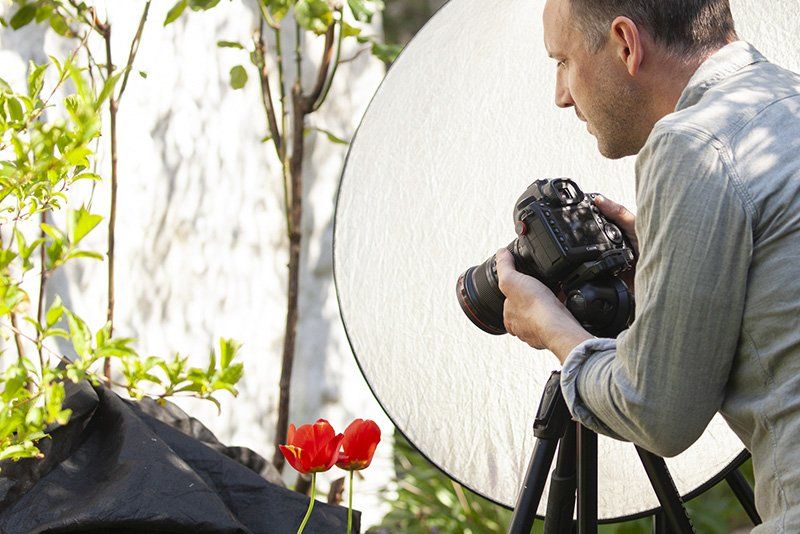 A reflector blocks light from hitting the tulips in frame.