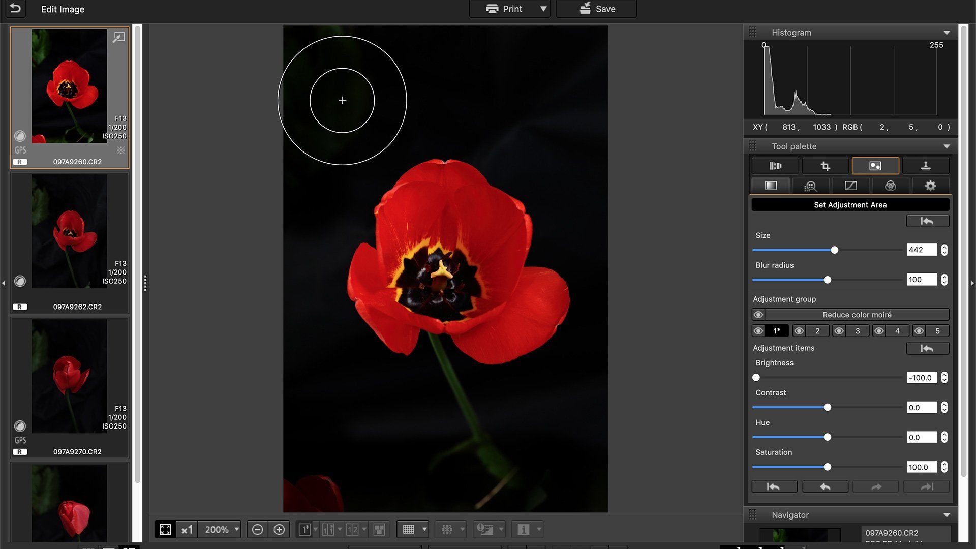 An image of a tulip is tweaked in Canon's Digital Photo Professional imaging software.