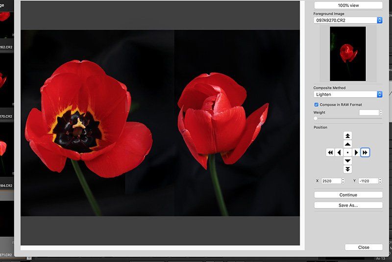 Two images of tulips are merged together in Canon's Digital Photo Professional imaging software.