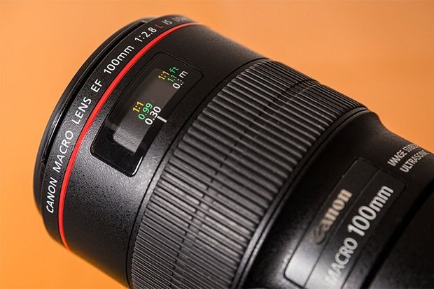 A Canon EF 100mm f/2.8L Macro IS USM lens.