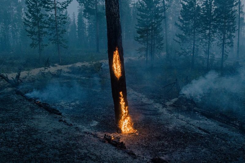 ‘As frozen Land Burns’ by Nana Heitmann photograph showing no VI impairment  