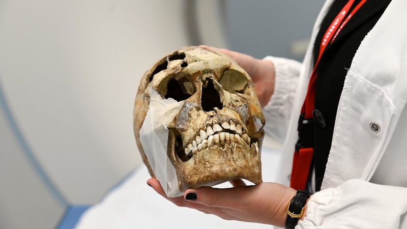 Brazos y torso de una persona con bata de laboratorio blanca que sostiene con cuidado un cráneo humano muy antiguo.