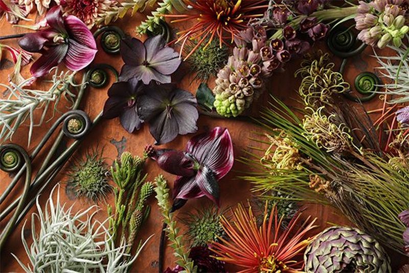 Close-up view of beautiful flowers and leaves