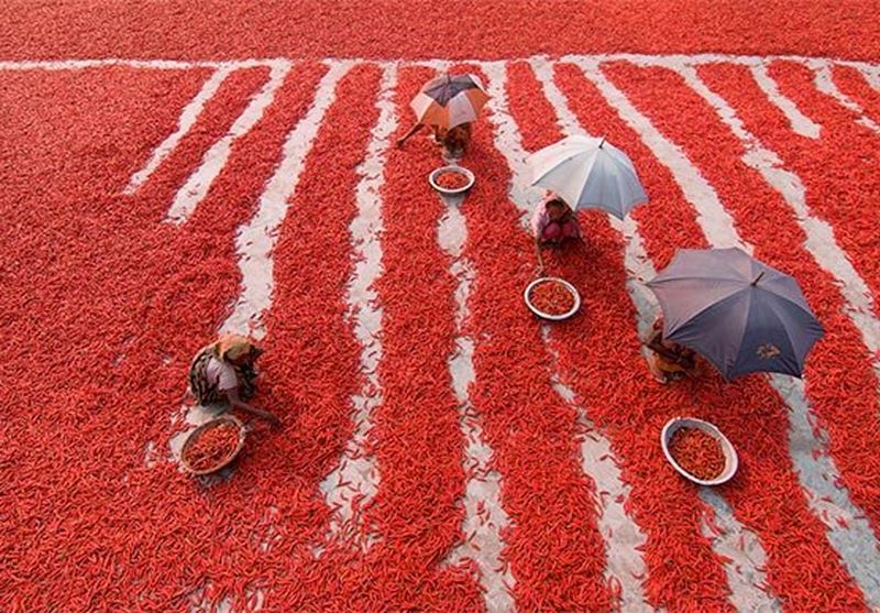 Call For Entries To New London Business School Photography Awards