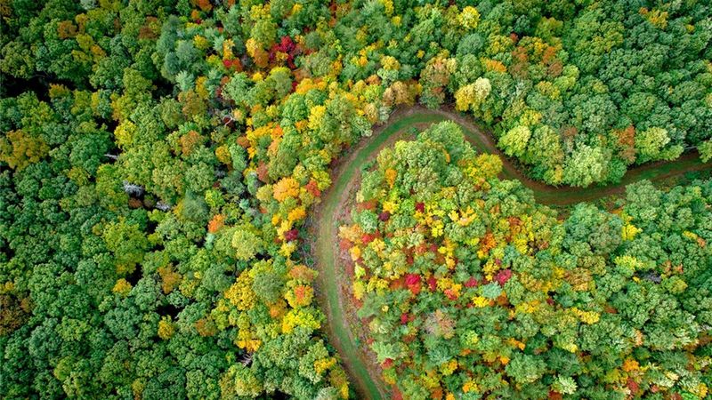 Contributing to a low carbon society