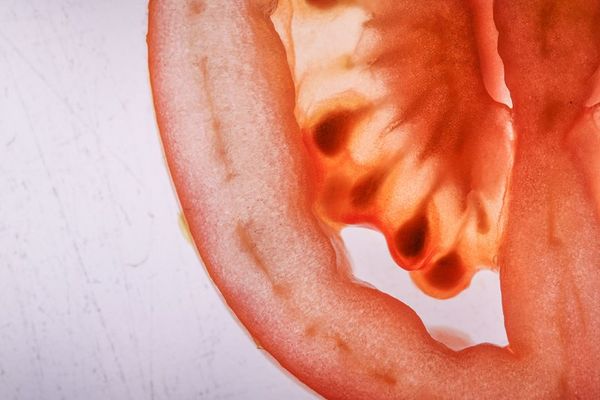 A composite image: left a Canon EOS 90D set up on a tripod; right, a macro shot of a bottle of hand sanitiser. A macro shot of tomato, taken on a Canon EOS R.