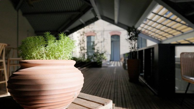  A covered deck with a large earthenware plant pot in the foreground and a building with two tall windows in the background.