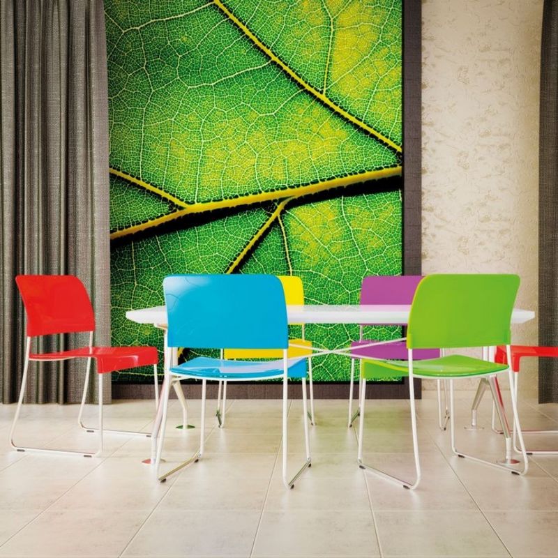 Five coloured chairs surround a table with a printed leaf on the wall behind