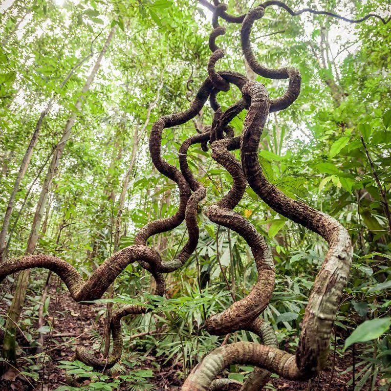 is-sustainability_800x800