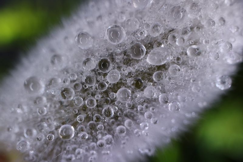 ef m 28mm macro