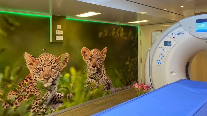 Eine mobile Einheit von Canon Medical, ausgestattet mit einem Canon Aquilion CT-Scanner. Innen ist ein großes Bild von zwei Leopardenjungtieren auf einer grasbewachsenen Lichtung zu sehen.