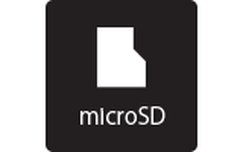 MicroSD memory card local recording