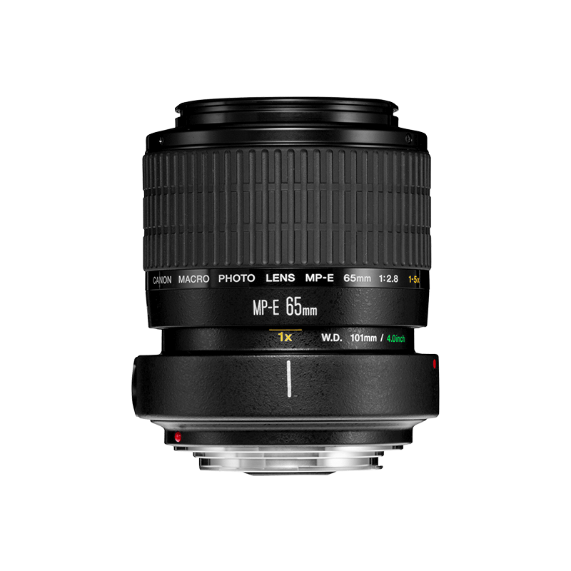 Canon MP-E 65mm f/2.8 1-5x Macro Photo - Lenses - Camera & Photo 