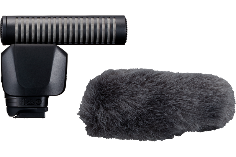 Directional stereo microphone DM-E1D