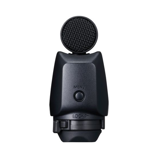 Directional stereo microphone DM-E1D