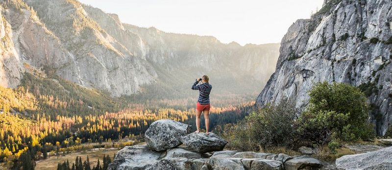 Nordiske Kyosei-aktiviteter