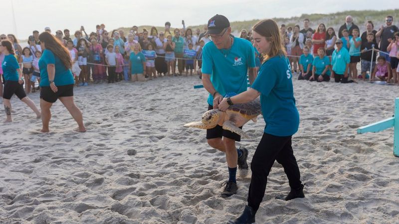 Een schildpad wordt over het strand naar de zee vervoerd door twee medewerkers van het New York Marine Rescue Center in hun blauwe uniform. Op de achtergrond staat een groep mensen achter een afzetting.