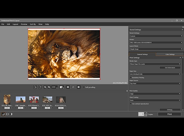 epson easy photo print layout download