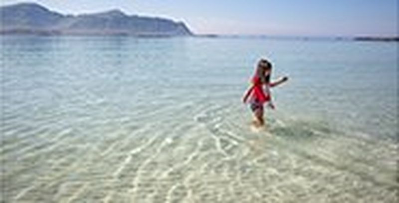 LANDSCAPE PORTRAITURE 