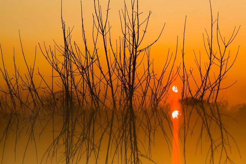 Kreative Vordergründe