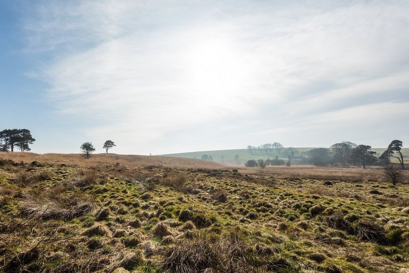 Original image of a landscape without using prism.