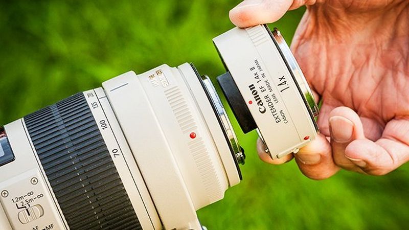 A Canon EF extender being used with EF lens.