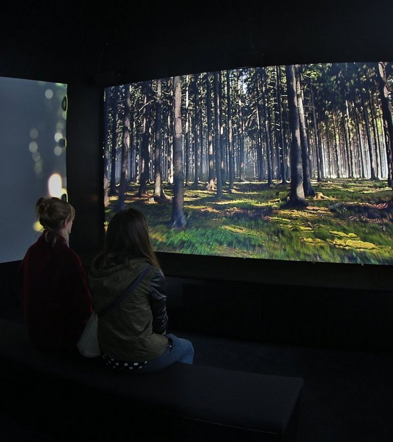 people watching projected screen