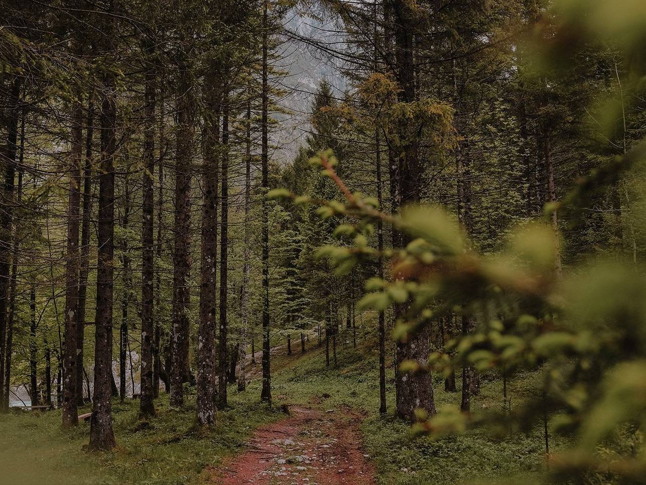 Built-in GPS* tracks your every move