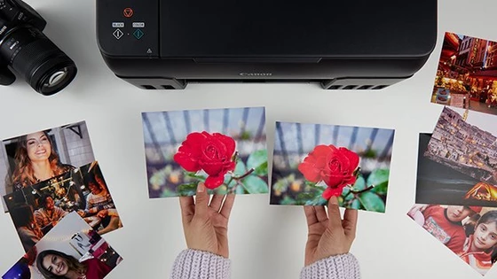 A Canon printer and a camera on a white table with pictures spread around them. Two hands holding identical prints of a red rose.