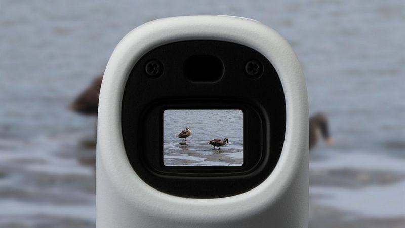 Canon PowerShot ZOOM sample image of ducks through viewfinder