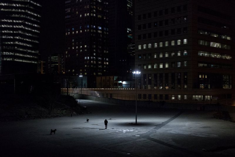 Un piéton et deux chiens la nuit à Istanbul, en Turquie, éclairés par des lampadaires.